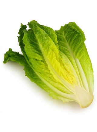 Lettuce Romaine